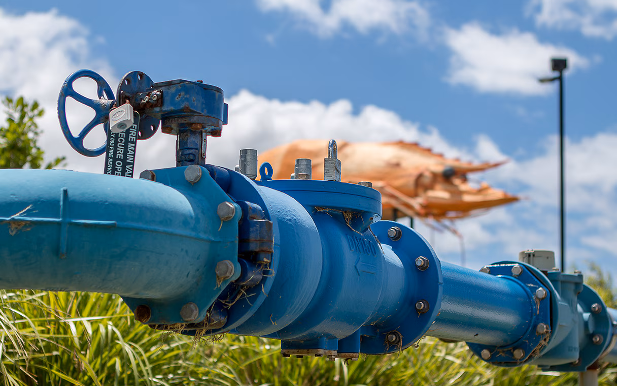 Bulk-Water Distribution Pipelines